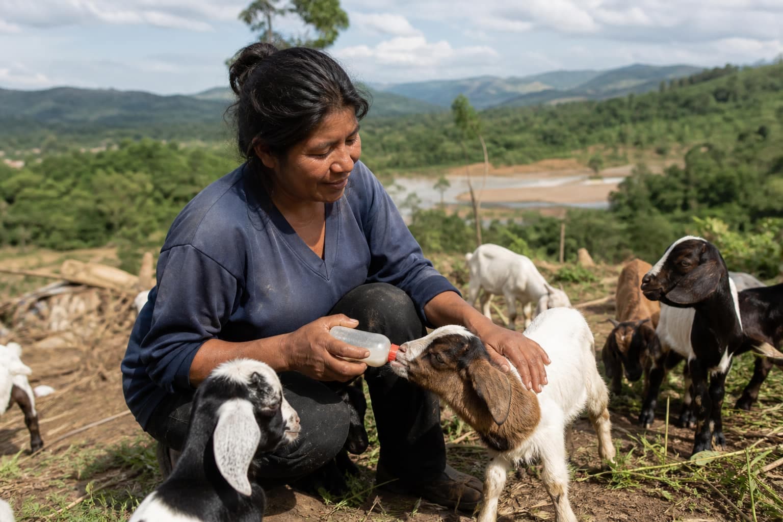 Farmer tending recovered livestock after flood rescue support